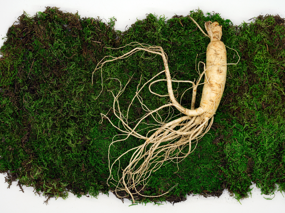 Korean Red Ginseng: A Natural Energy Booster for Professionals and Athletes