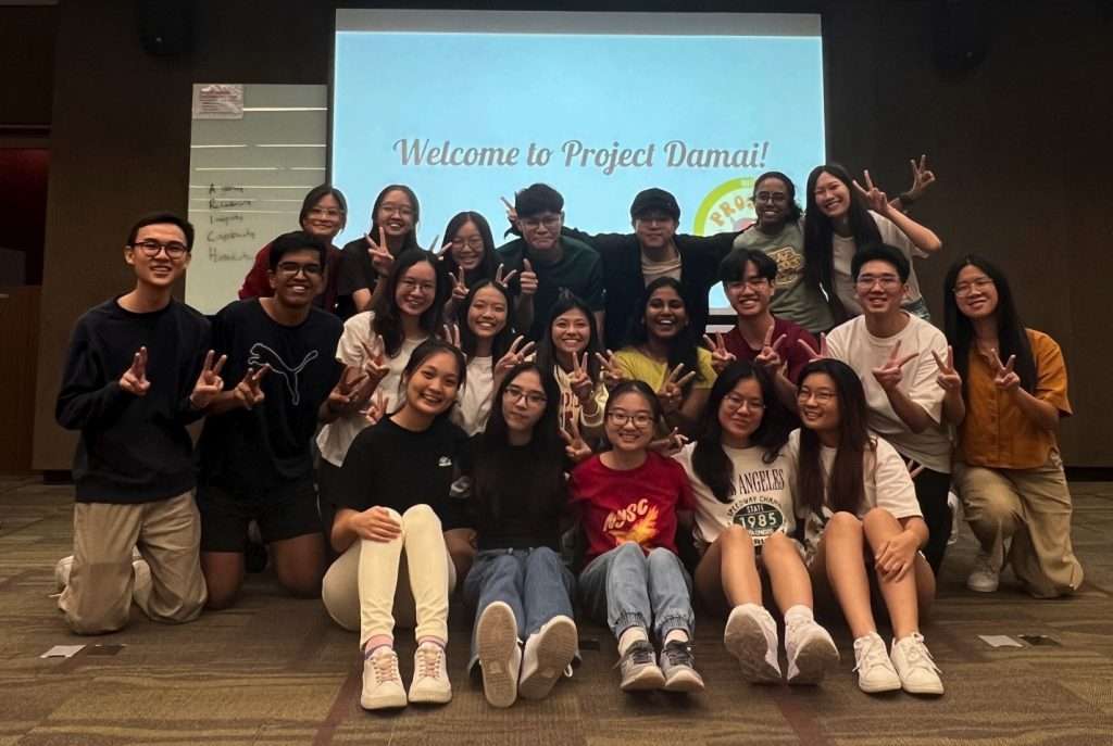 Project DAMAI