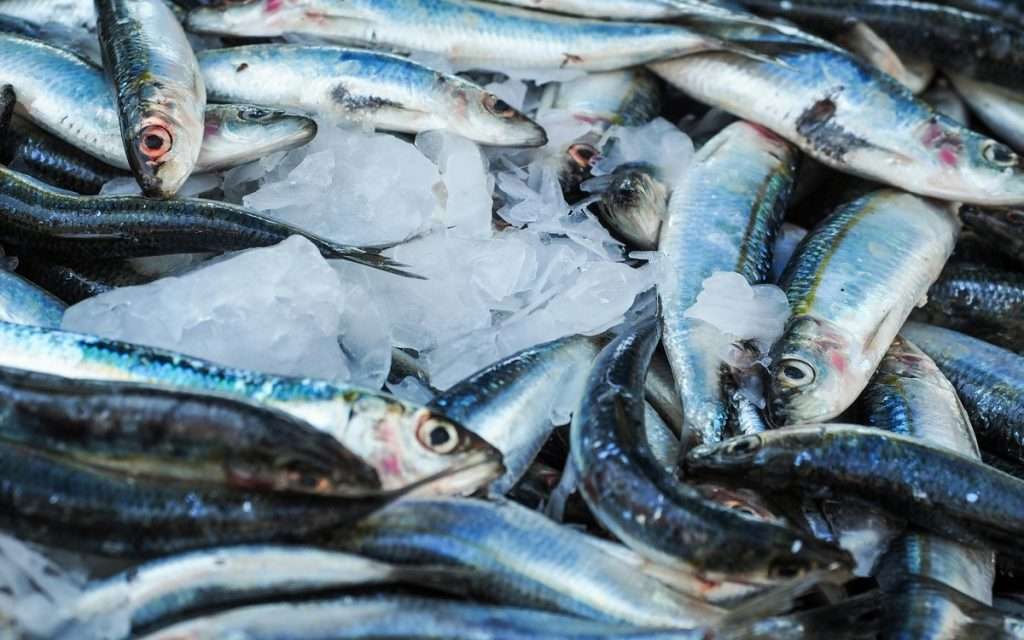 Pexels 27411 3650159